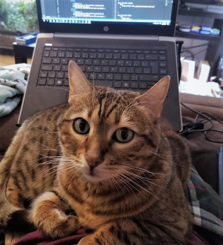 Noob helping me work on my laptop