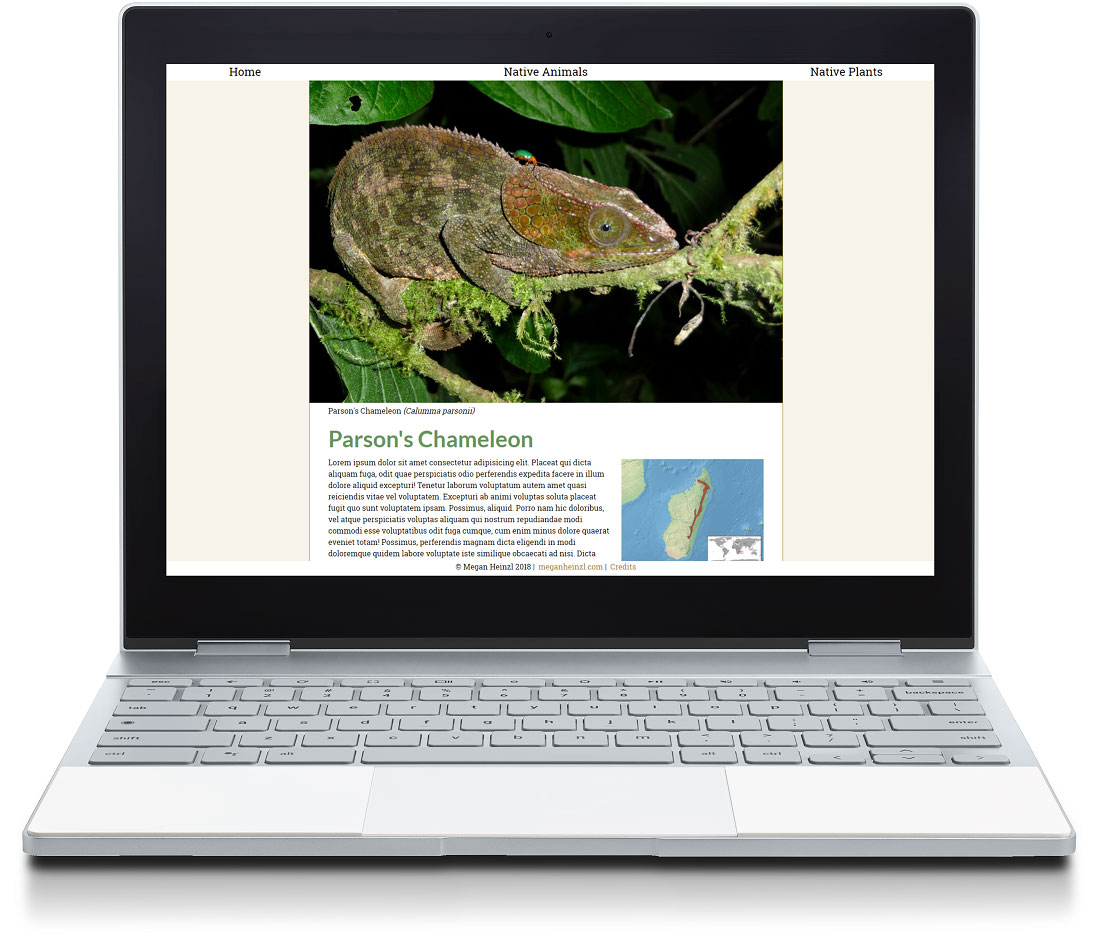 desktop screenshot of Madagascar project