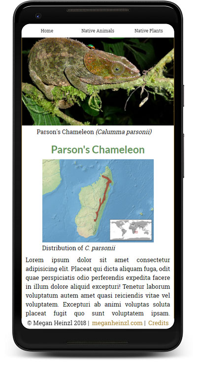 mobile screenshot of Madagascar project